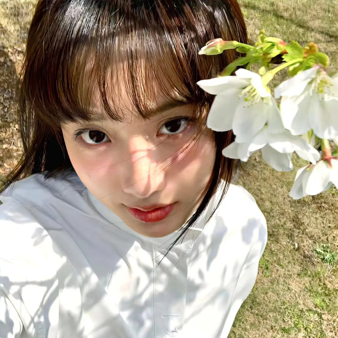 精灵鼠小弟2