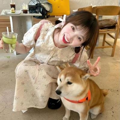龙的牙医