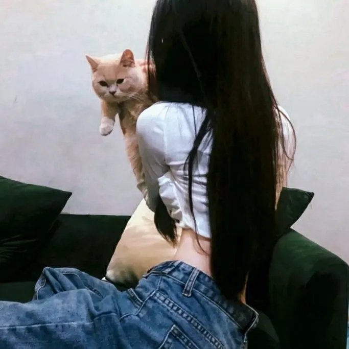 卧虎传说